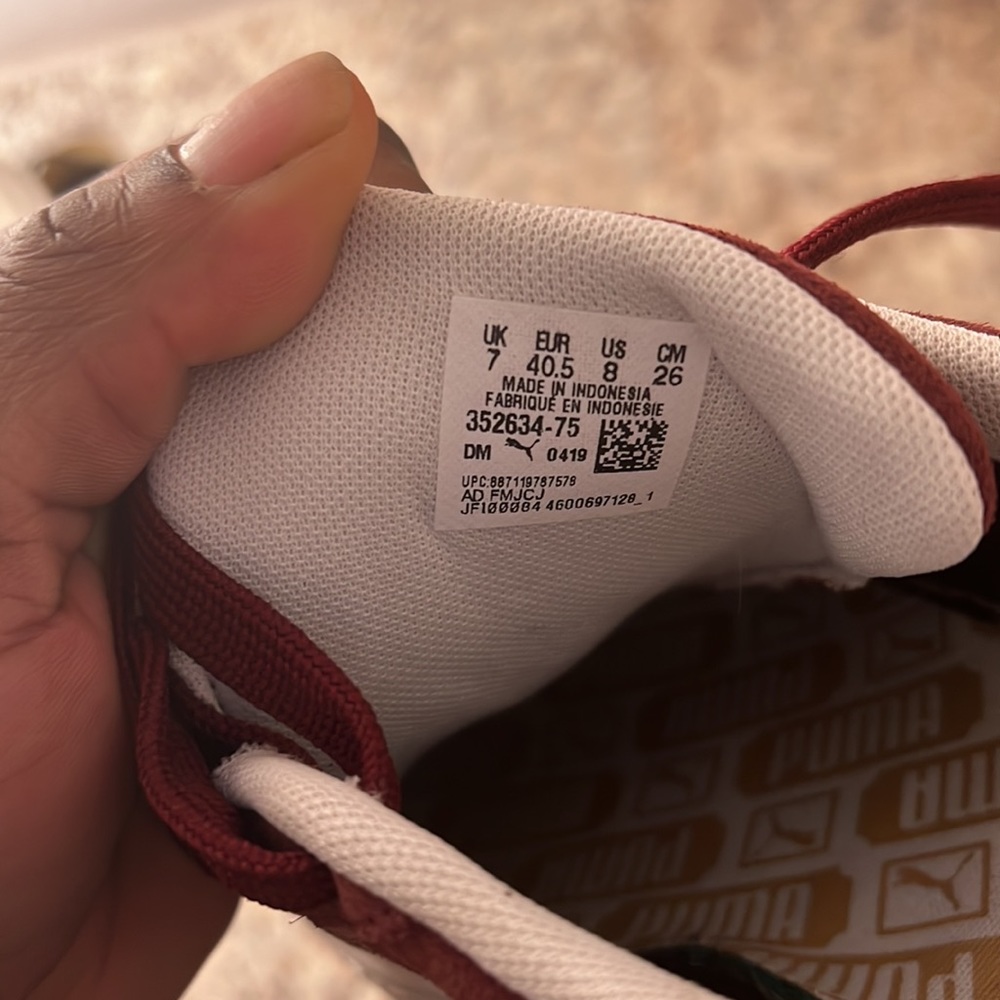 Pumas - Picture 2 of 3